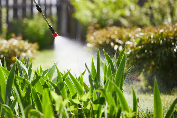 24/7 Emergency Mosquito Control experts in Fairmont, MN